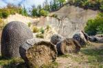 Возрастом 7 миллионов лет назад: загадочные "живые камни" в Румынии "рождают" малышей