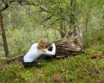 В Норвегии найдены "мумифицированные" деревья эпохи викингов