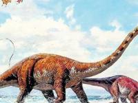 В Библии описаны сцены борьбы людей с динозаврами. Откуда 2,5-3 тысячи лет назад писари знали, как выглядели древние рептилии?