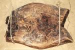 Табличка Диспилио и находки на месте Херсонеса: древнейший известный письменный текст написан на славянском языке?