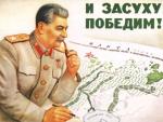Сталинский план преобразования природы: что стало с лесостенами, которые высаживали в начале 1950-х?