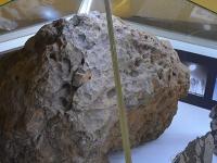 Учёные из Шри-Ланки и Индии заявили о водорослях, обнаруженных в метеорите