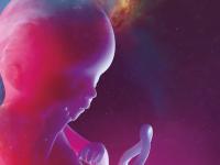 Люди смогут зачать детей в космосе: эксперимент покажет, какими будут "внепланетные" младенцы