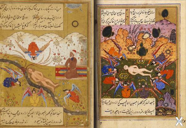 Средневековые иранские манускрипты с ...