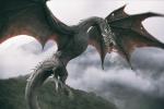 Легенды о драконах: на чем в действительности основаны мифы о гигантских ящерах