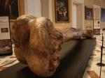 Останки 24-метрового гиганта найдены вблизи Неаполя: неужели великаны достигали 30 метров, как указано в легендах?