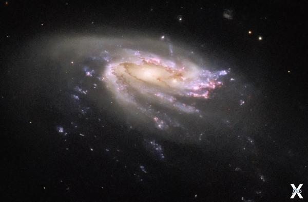 Галактика JO206