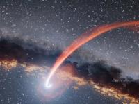 Жестокая смерть звезды: ученые выяснили, что происходит при сближении с черной дырой