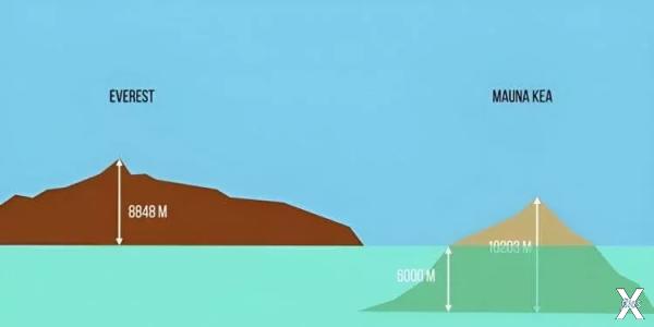 Сравнение высоты Эвереста и Мауна-Кеа