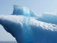В антарктическом льде летопись гибели 56 миллионов человек