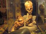 В Перу обнаружены гибриды пришельцев и людей: экспертиза экспоната музея «Ритуалы Анд»