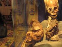 В Перу обнаружены гибриды пришельцев и людей: экспертиза экспоната музея «Ритуалы Анд»