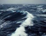 Океанам потребуется 10 тысяч лет для восстановления уровня кислотности