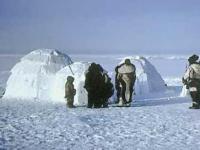 Эскимосы могут помочь в решении климатических проблем
