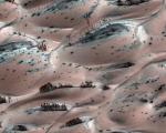 На Марсе растут песчаные "деревья"