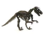 Украденный уникальный скелет динозавра вернули палеонтологам