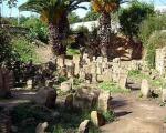 Жители Карфагена не совершали ритуальных детоубийств