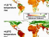 Ученые составили карту перераспределения флоры при глобальном потеплении