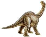 У динозавров с возрастом менялась форма черепа