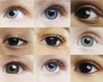 Ученые нашли ответственные за цвет глаз гены
