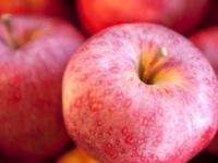 Ученые нашли дикого предка яблони