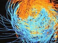 На Земле смена магнитных полюсов может произойти очень быстро