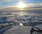 Самые "живучие" организмы нашли на дне Арктики