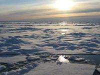 Самые "живучие" организмы нашли на дне Арктики