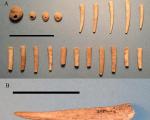 Неандертальцы были способны изготавливать сложные орудия труда