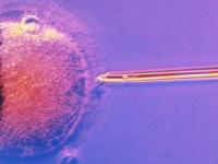 Исследователи ЭКО научились определять, здоров ли эмбрион