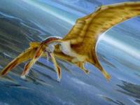 Птерозавры были не способны летать быстро