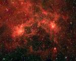 Найдено одно из крупнейших скоплений массивных звезд в Галактике