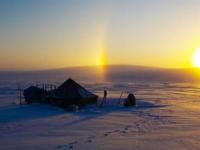 К 2099 году от арктической тундры почти ничего не останется - ученые