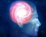 Ученые увидели "борьбу воспоминаний" в головном мозге человека