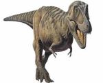 В пустыне Гоби обнаружили останки детенышей динозавра