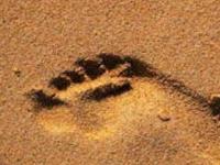 В Мексике обнаружены следы древнего человека