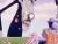 Человечество подталкивают к каннибализму