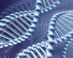 Биотехнологи изобрели био-робота из ДНК
