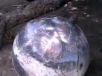 В Бразилии с неба упал загадочный шар