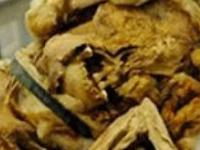 Лекарство от страшной болезни достанут из потаенных уголков мумий
