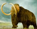 В древности жители Флориды застали гигантских животных