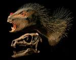 В Южной Африке найдены останки пернатого саблезубого динозавра