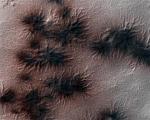 На Марсе обнаружили гигантских черных "пауков"