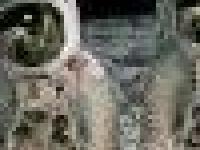 Факты о космосе со слов самих космонавтов