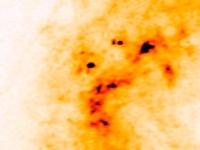 Астрономы впервые рассмотрели зародыши гигантских звезд