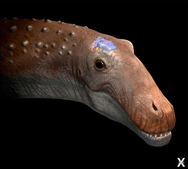 Хотя травоядный динозавр Ampelosaurus...