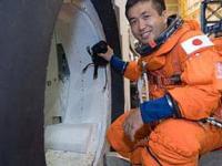 Японский астронавт будет сдан в аренду