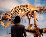 Американцы открыли новый вид тираннозавра