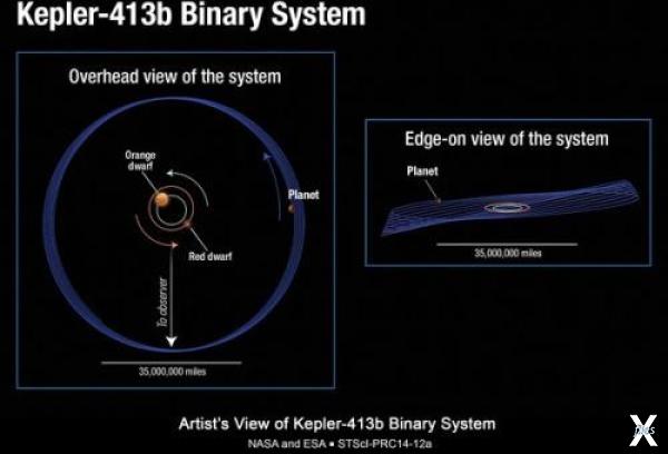 Планета Кеплер-413 b удалена от пары ...