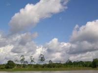 Большая часть лесов Амазонки исчезнет к концу века